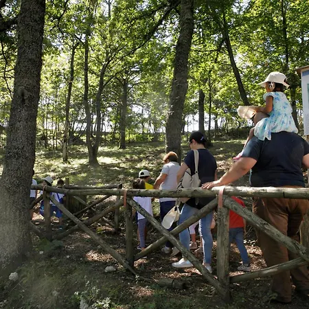 Le Chiancate Camping